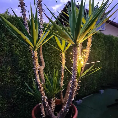 Persang Gbr * Eppenbrunn