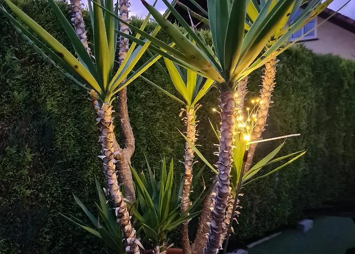 Persang Gbr * Eppenbrunn